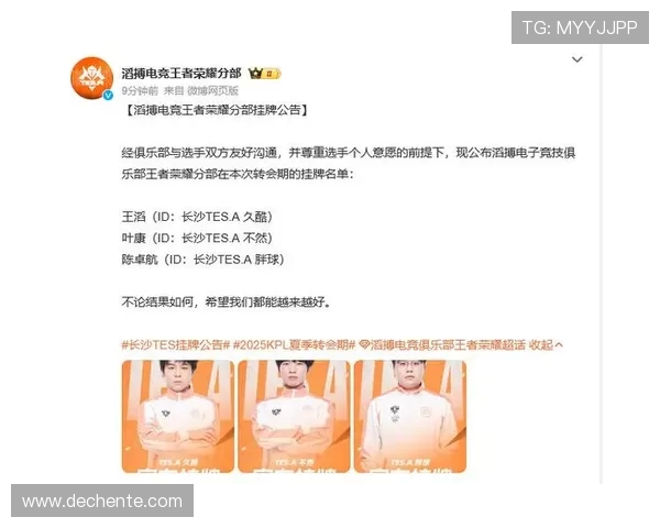 TES战队进攻体系解析王者荣耀战术的深度剖析与实战应用