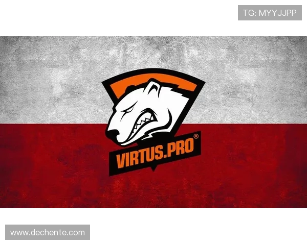 WE战队的荣耀与坚持CSGO历程中的奋斗与成长纪实