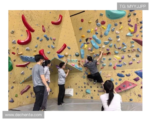 上海攀岩队个人能力提升之路探讨与热议