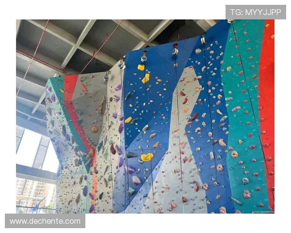 南京攀岩队荣登攀岩战术排行榜第二名展现实力与团队精神