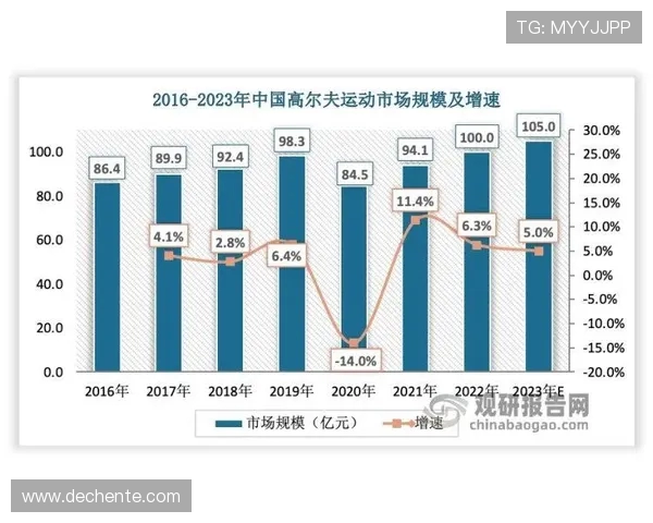 武汉足球队个人能力深度解析与发展潜力探讨 武汉足球队个人能力深度解析与发展潜力探讨