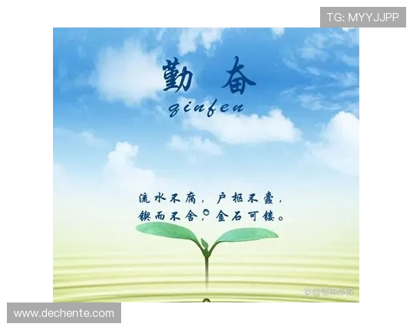苏伟：从平凡到卓越的奋斗故事与人生启示