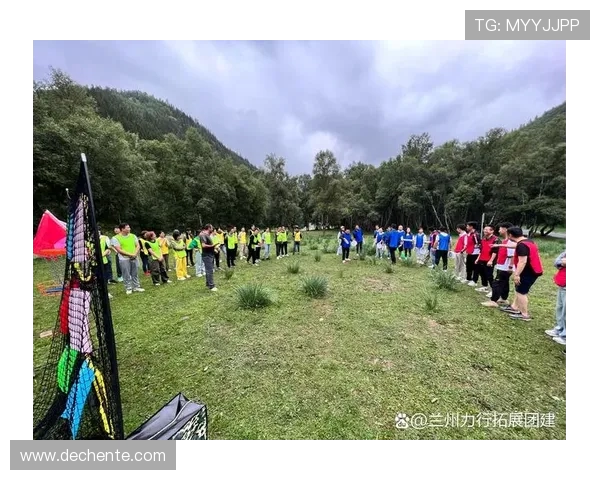 飞盘盛宴：深入探讨上海飞盘队的实力与发展潜力