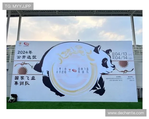 南京飞盘队逆袭之路：从挑战到辉煌的精彩反击解析