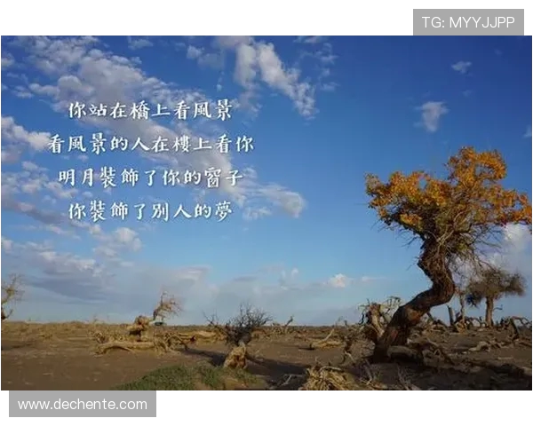 李芳专访：从初学者到攀岩高手的心路历程与成长故事