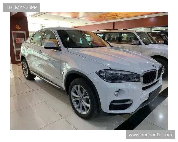 飞盘梦想与人生追求：陈芳的深度对话与成长故事