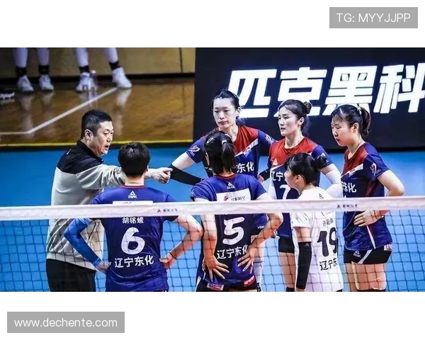 广州排球队在排球比赛中创下新高经验排名引发关注与期待