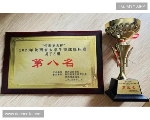 成都排球队强势崛起排球状态排行榜荣获第二名佳绩