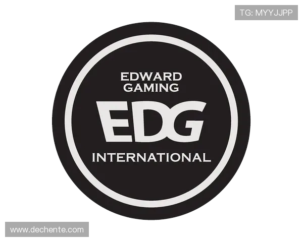 数据分析透视EDG战队的实力与表现背后的秘密与策略