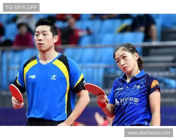 杭州乒乓球队实力分析与表现评估的深度研究与探讨